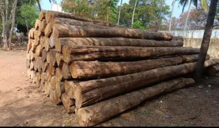 Premium Nilambur Teak
