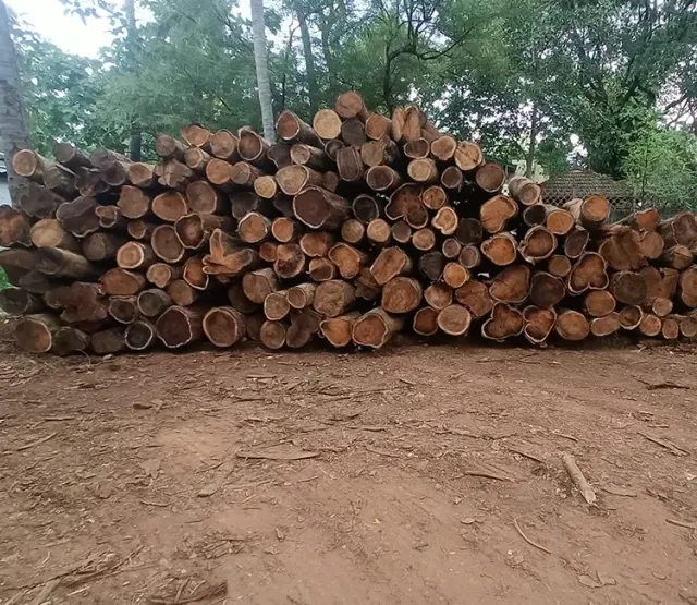 Manjiyam Wood Log 35 in Avg cft 