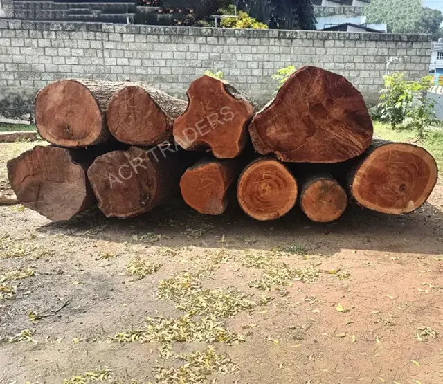 Mahogany Wood Log 01