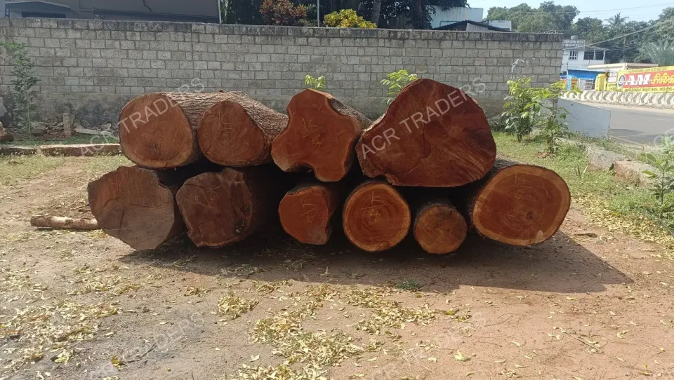 Mahogany Wood Log 01