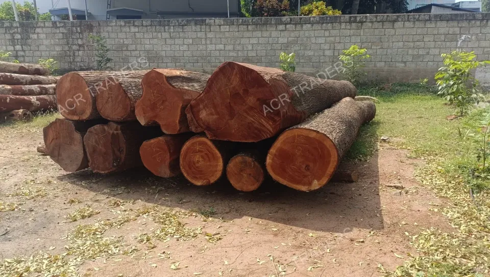 Mahogany Wood Log 01