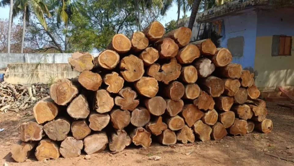 Premium Nilambur Teak