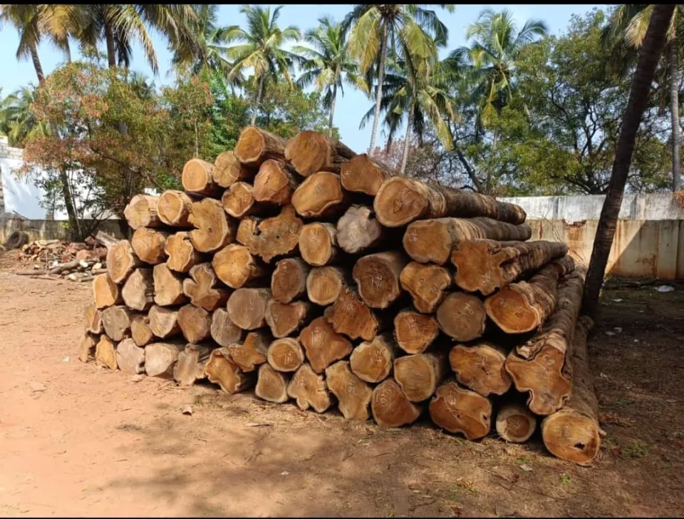 Premium Nilambur Teak