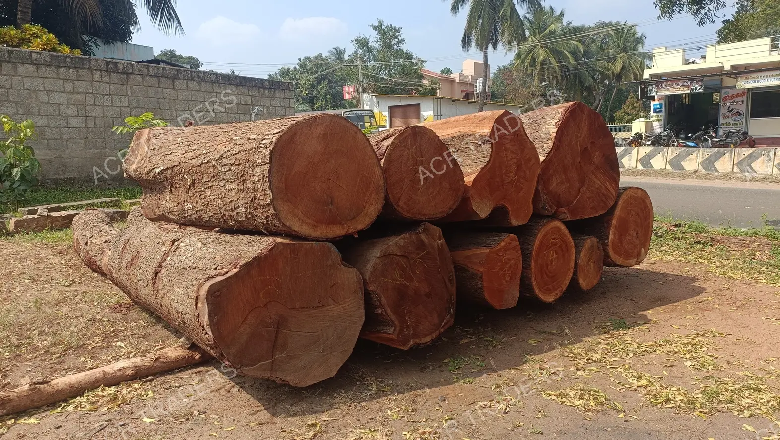 Mahogany Wood Log 01