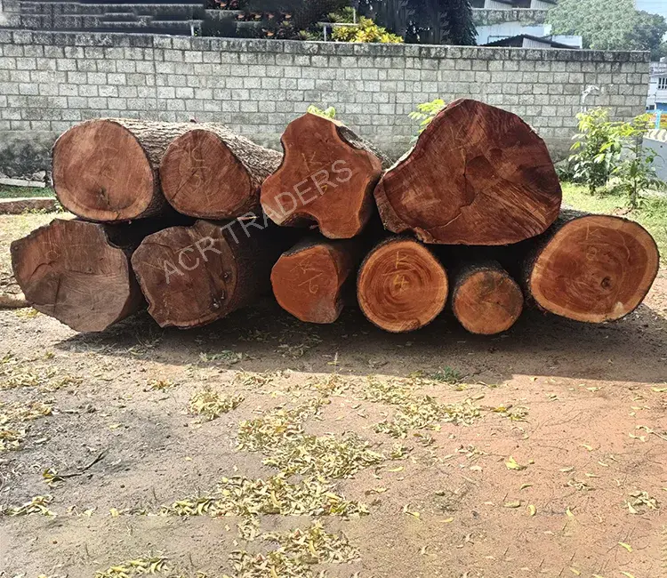 Mahogany Wood Log 01