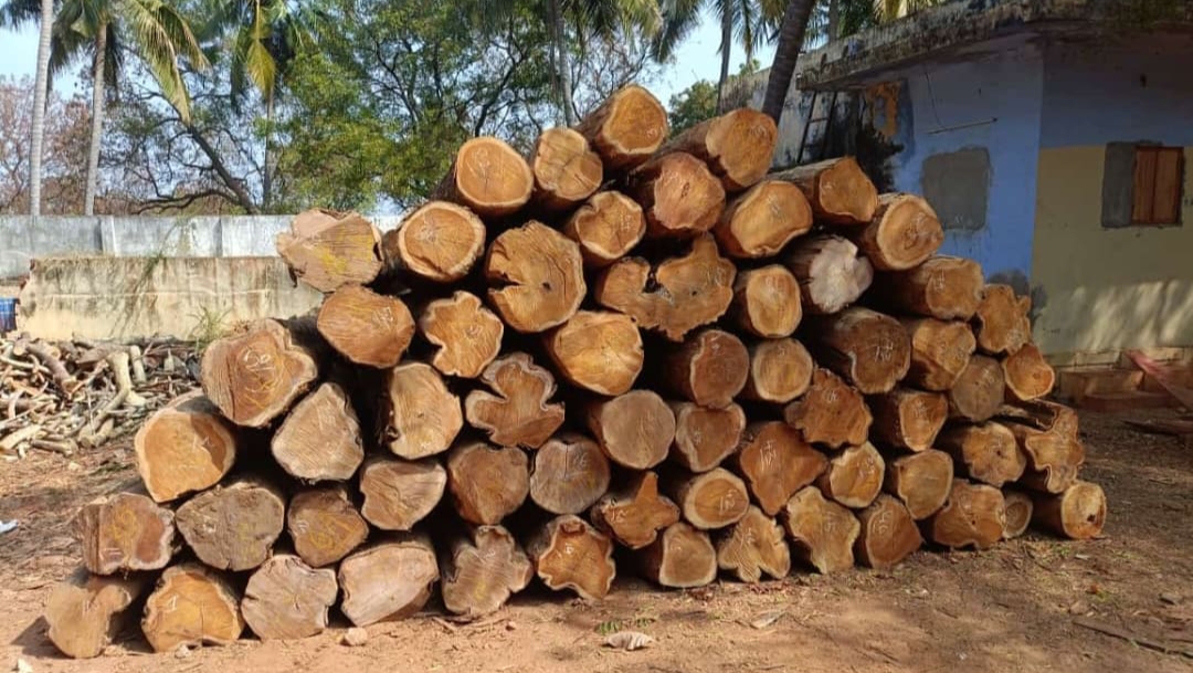 Premium Nilambur Teak